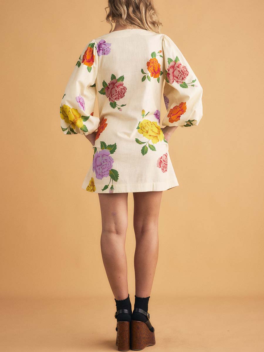 Floral Print V Neck Long Sleeve Mini Dress