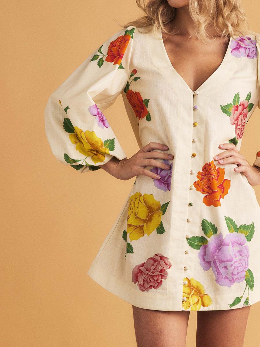 Floral Print V Neck Long Sleeve Mini Dress